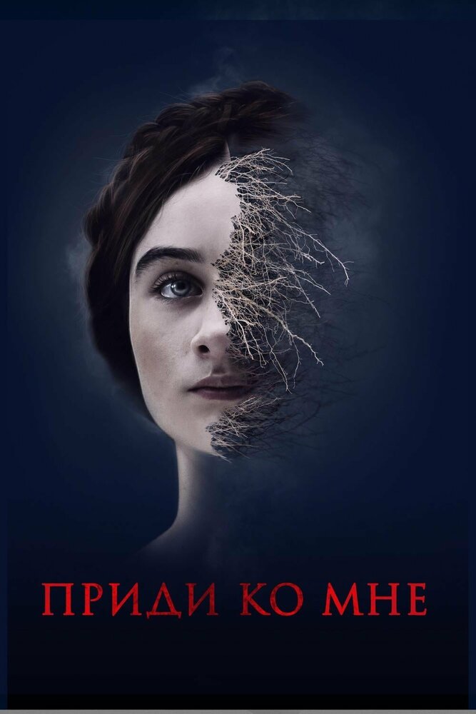 Приди ко мне (2019) постер